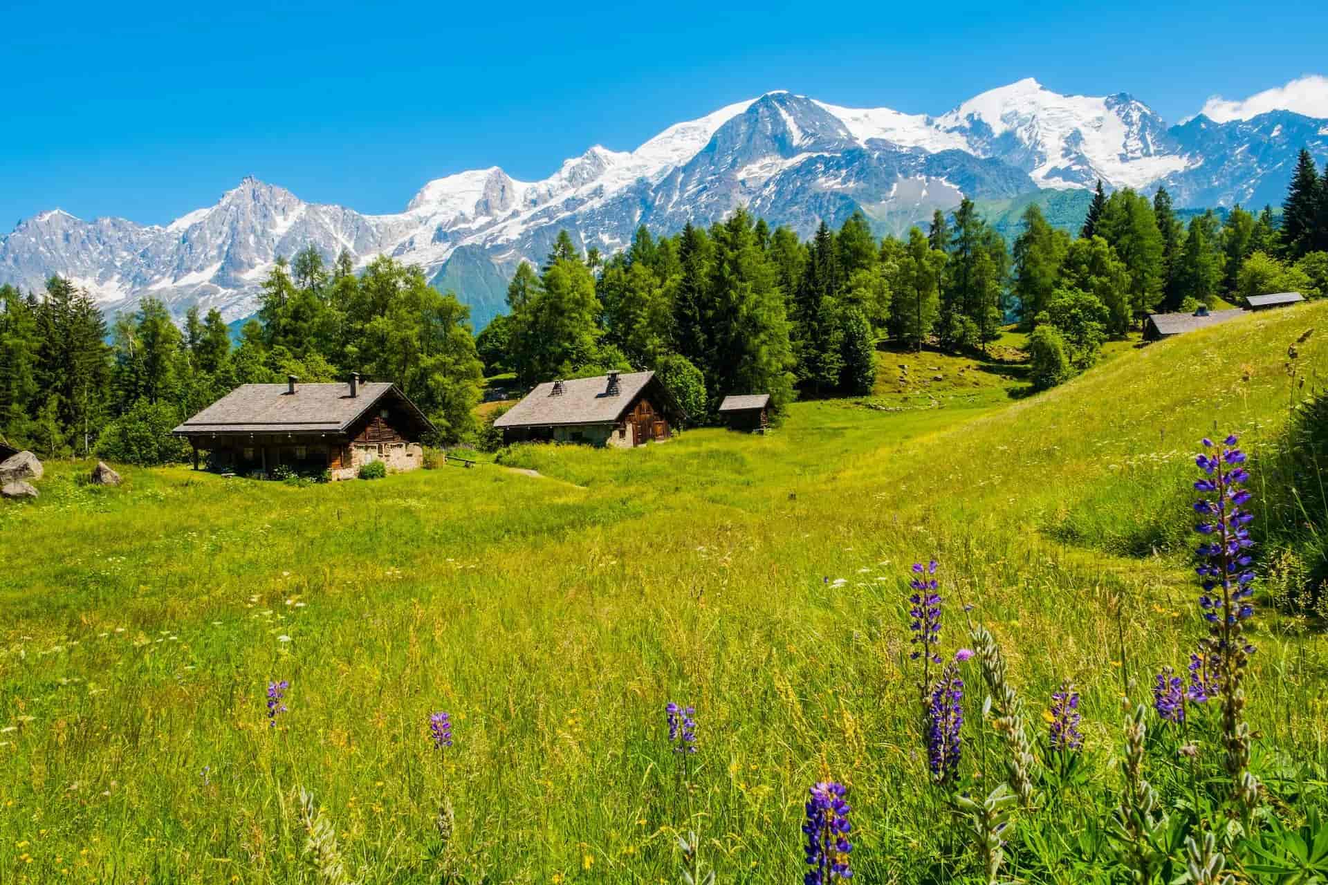 Chalet view of Mont Blanc from Charousse les Houches with green meadow and purple wildflowers.
