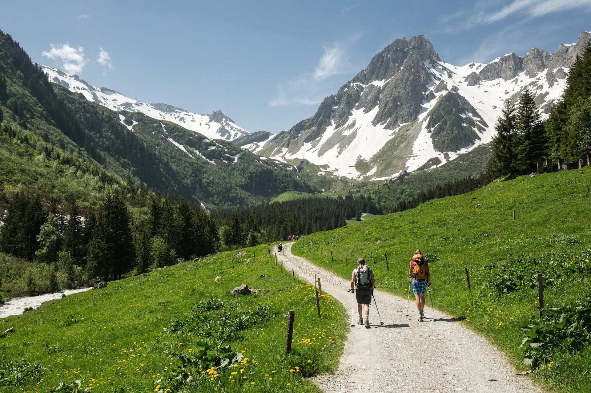 Hikers with backpacks walking on dirt path through green alpine meadow toward snow-capped mountains