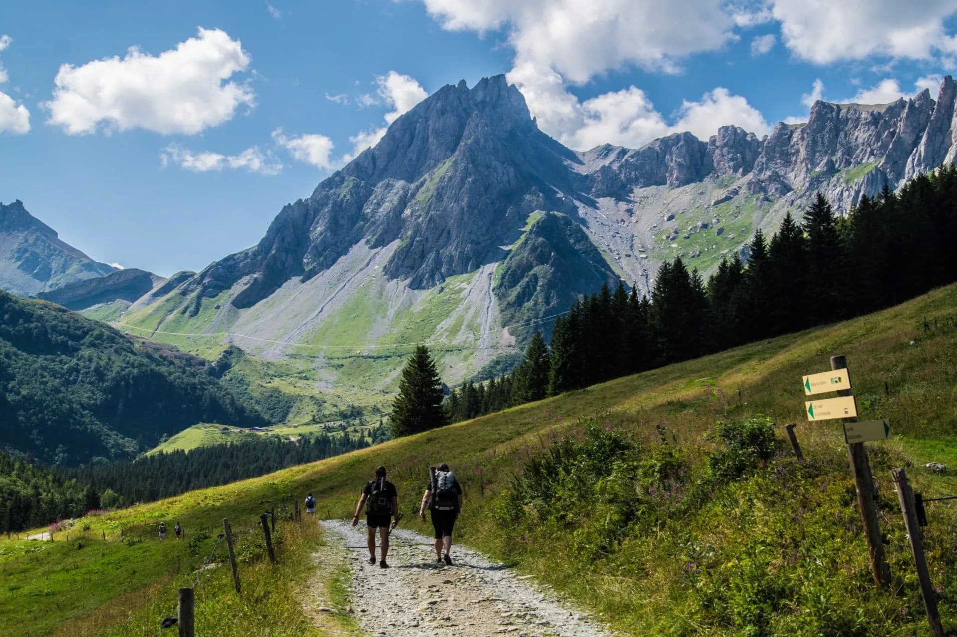 Hikers on gravel path ascending grassy slope toward rugged mountains under blue sky.