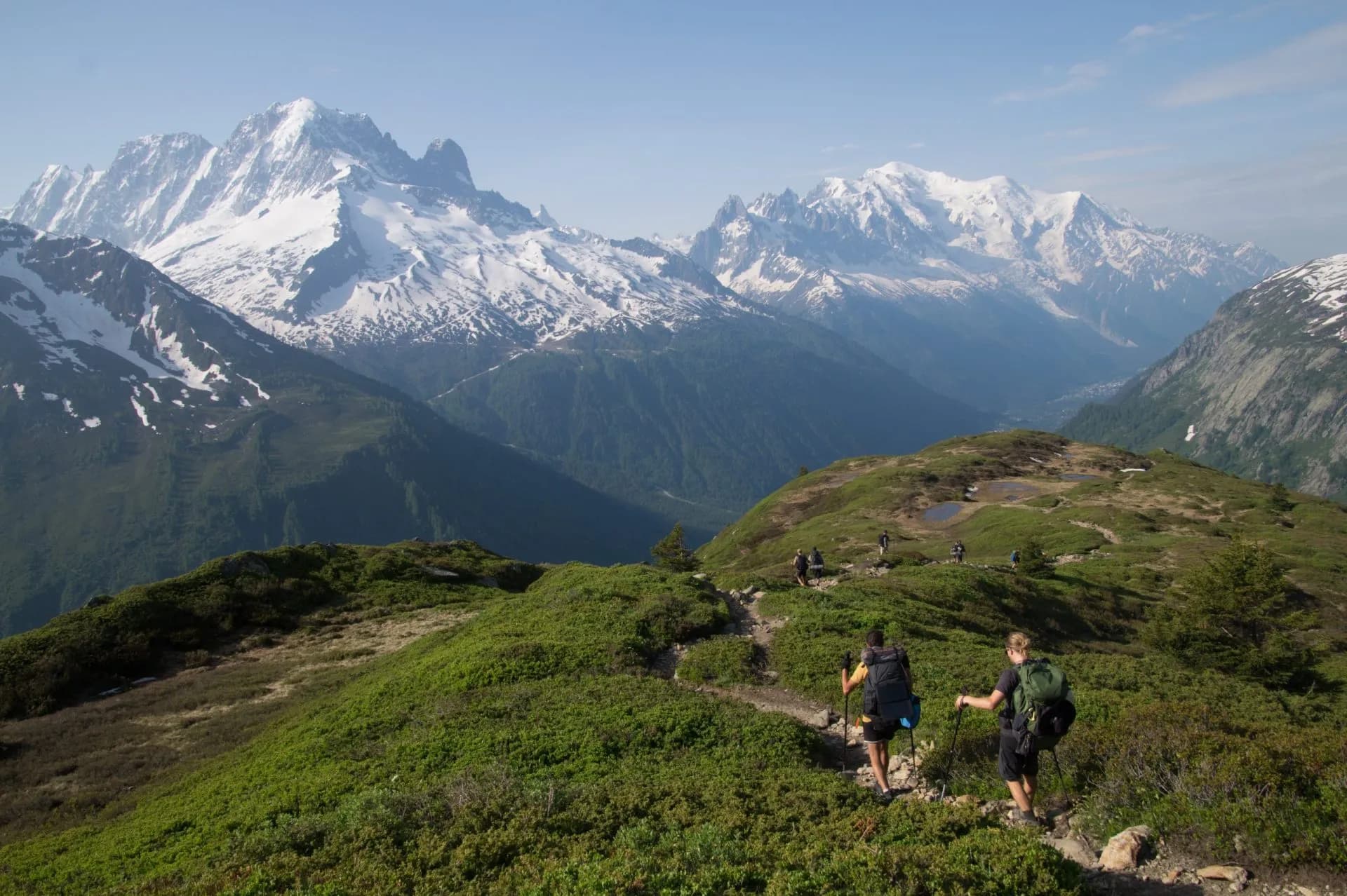 Hikers with backpacks trekking on a green ridge overlooking snow-capped alpine mountains.