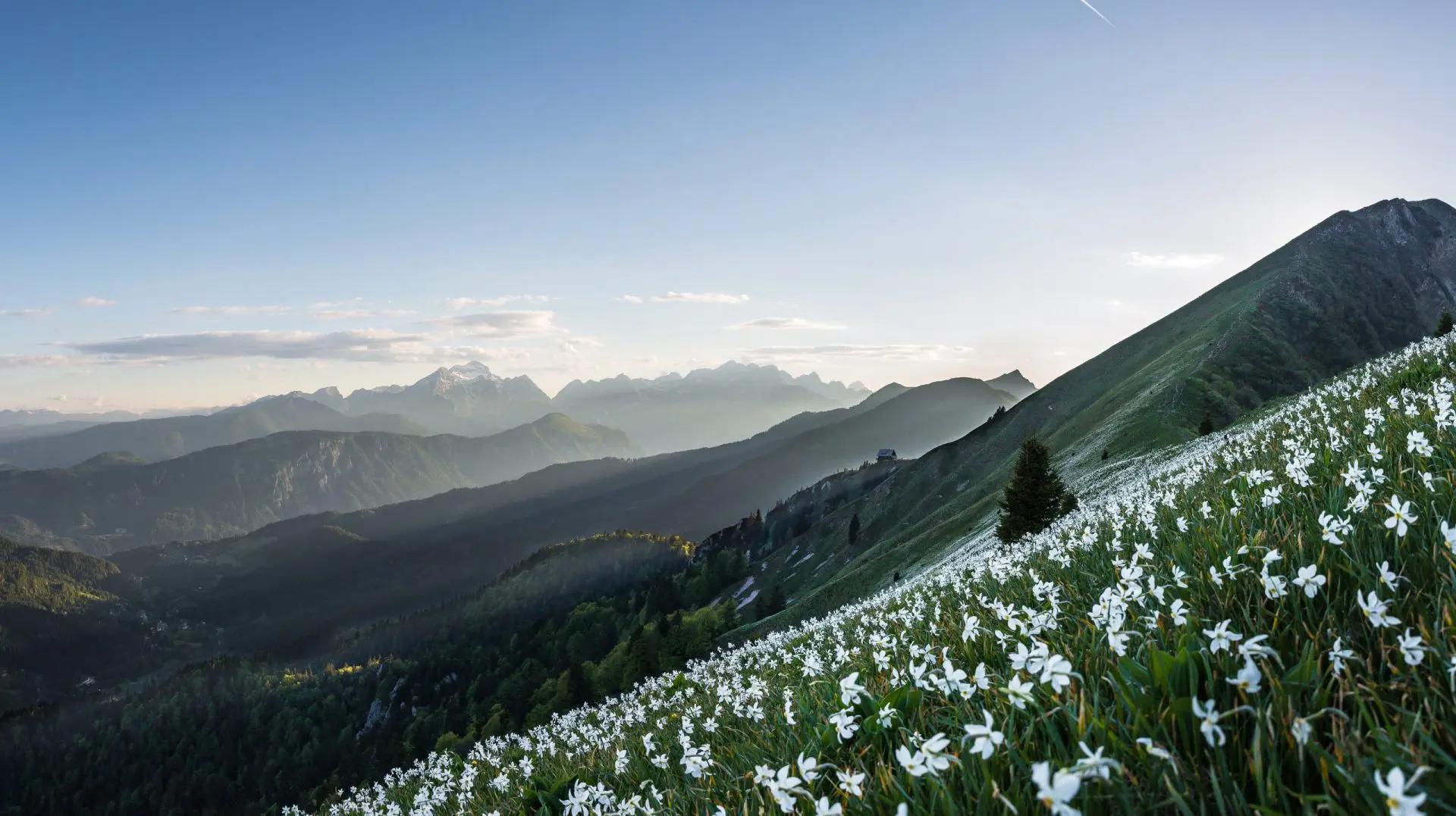 Homepage Photo