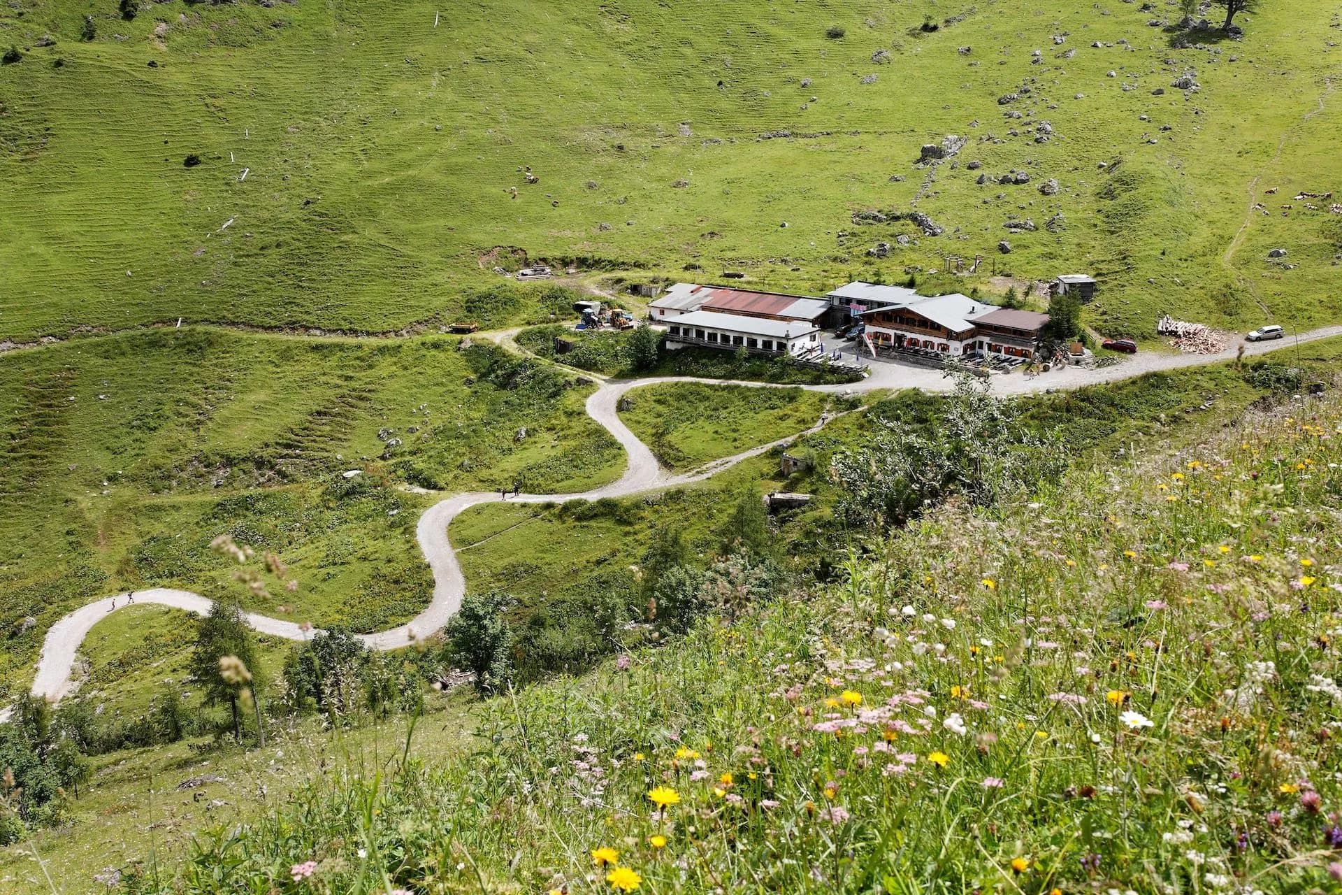 Mountain hut with a winding gravel path in an alpine meadow with wildflowers.