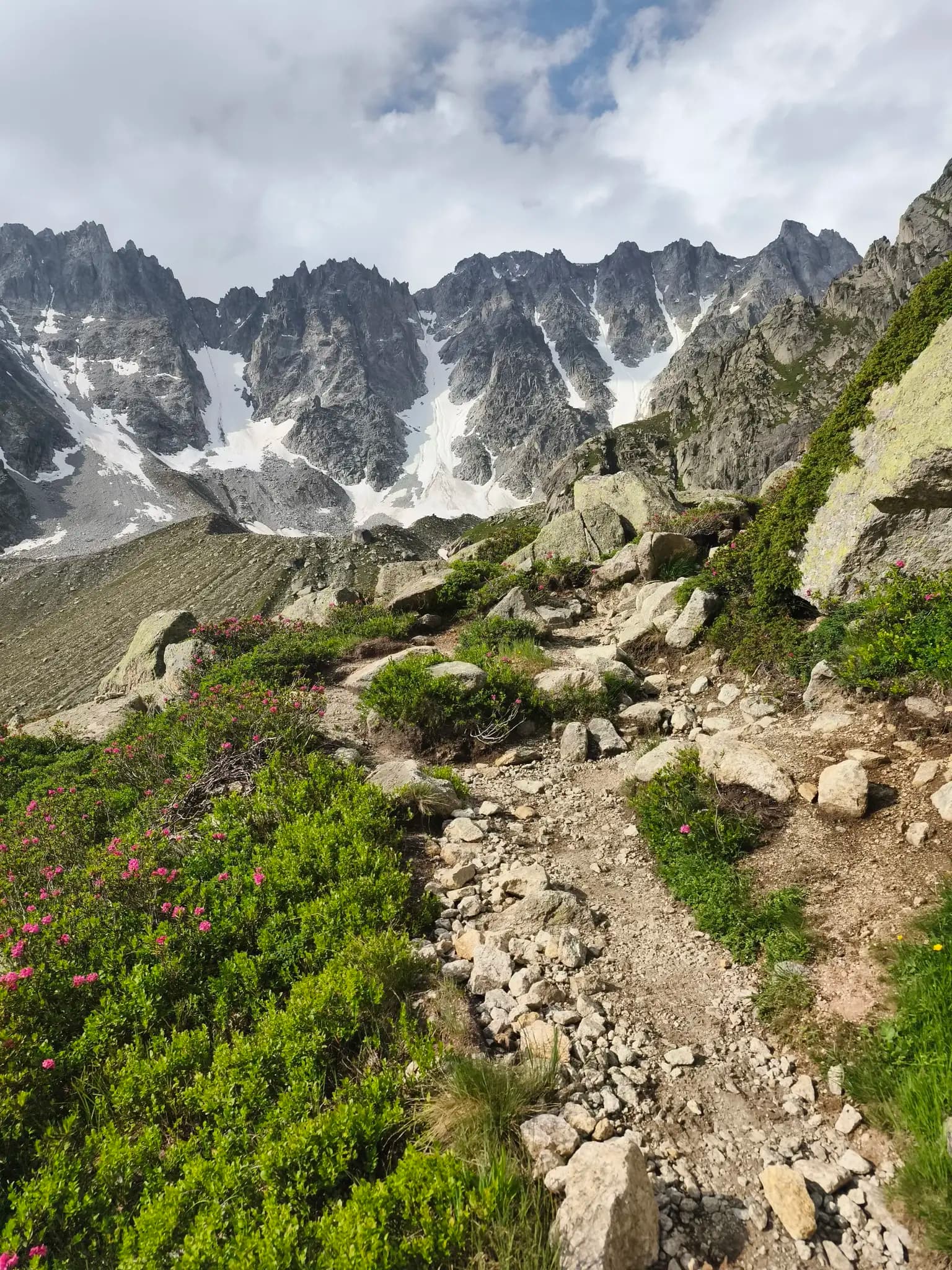 Rocky hiking trail with pink rhododendrons leading toward snow-capped mountain peaks.