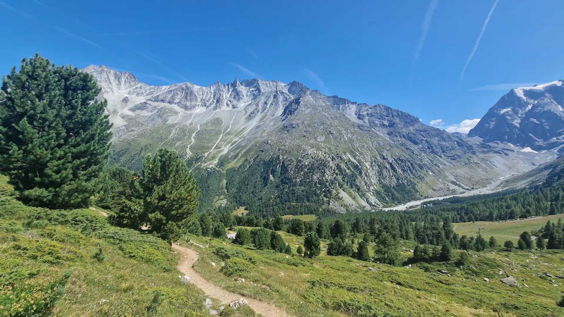 Hiking trail through an alpine valley with pine trees and rocky mountain peaks under a clear blue sky.