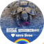 Tortoise eating on gravel with text overlay stay at home protect the NHS save lives