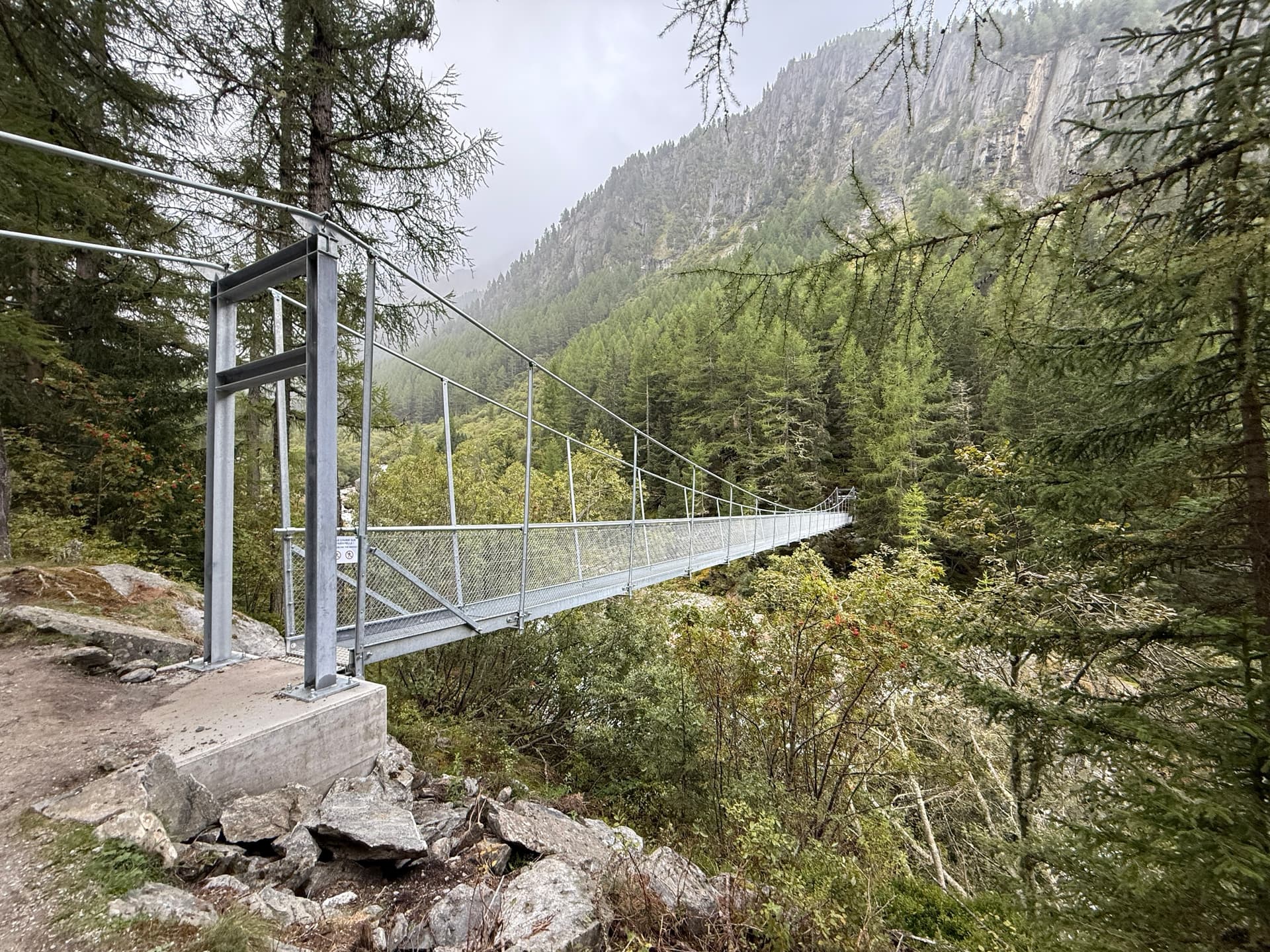 Metal suspension bridge in a forest with mountain backdrop