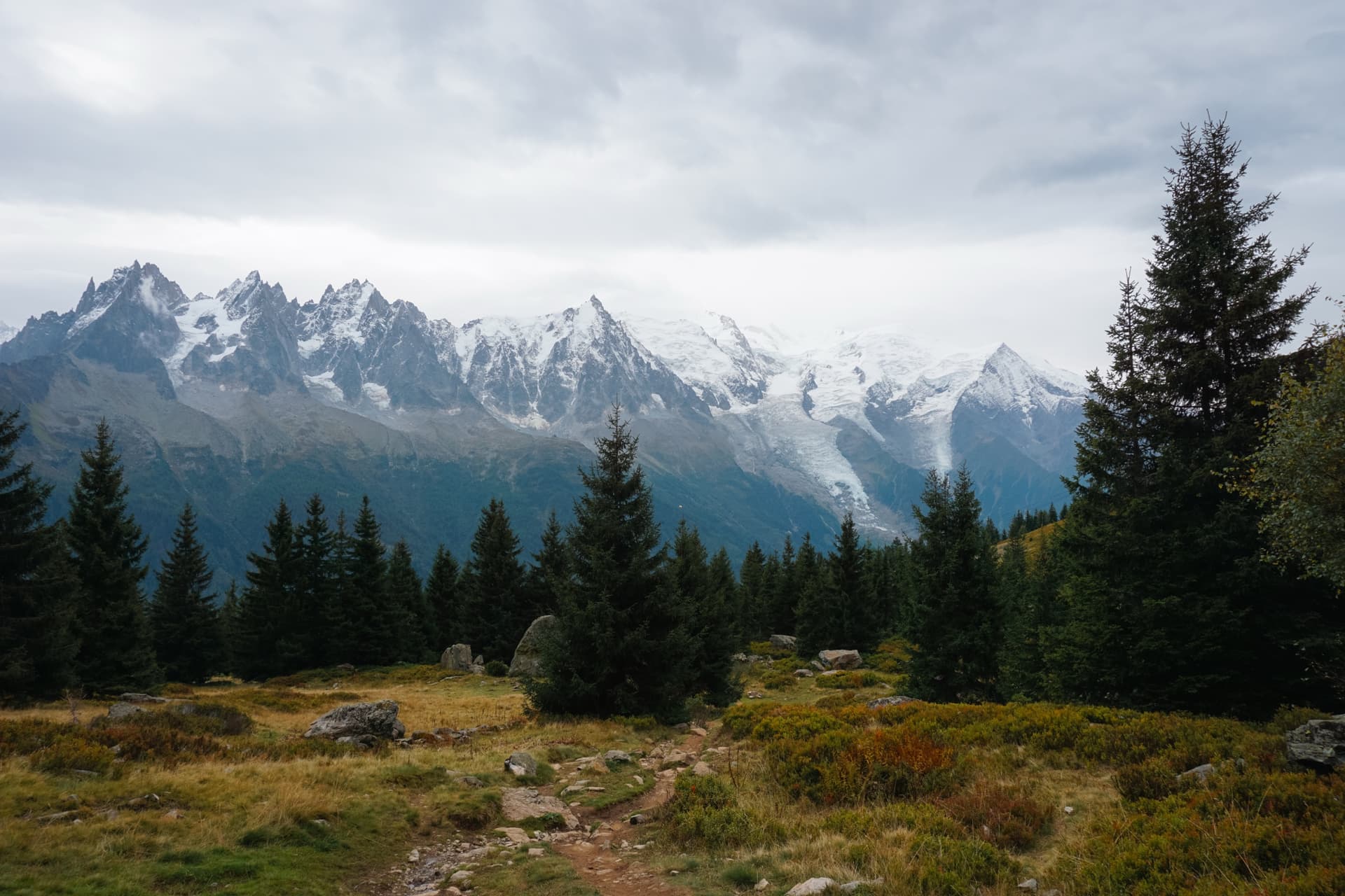 Mont Blanc range snow-capped peaks above pine forest and trail under cloudy sky