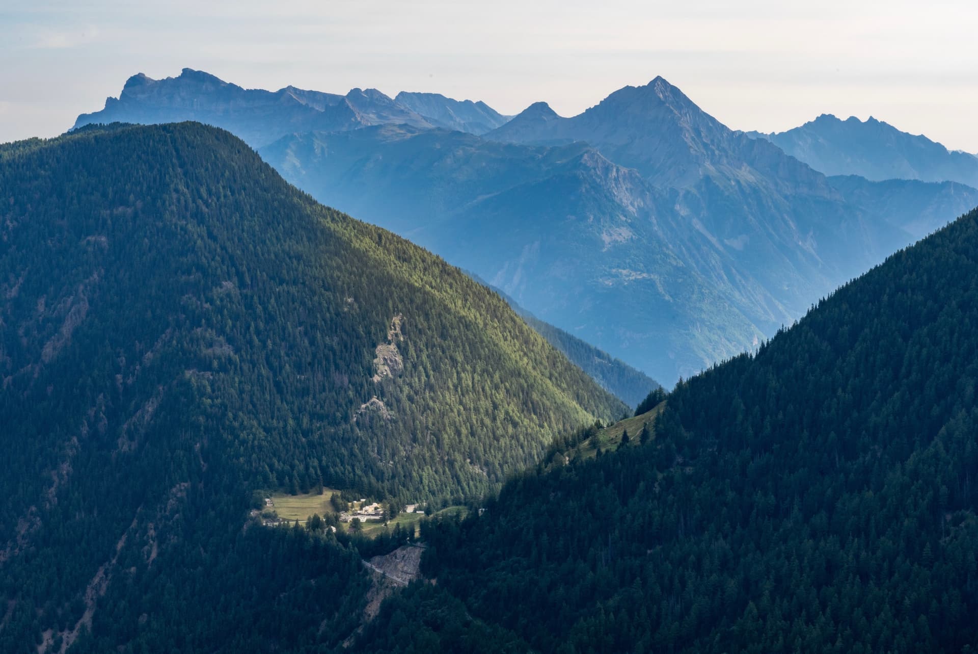 Layered mountain ridges with pine forests and distant peaks in haze