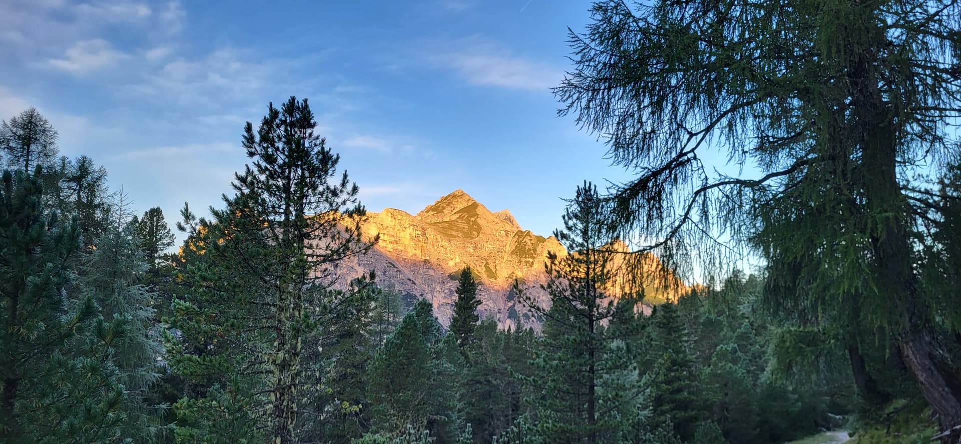 Alpine mountain peak illuminated by alpenglow viewed through larch trees and forest