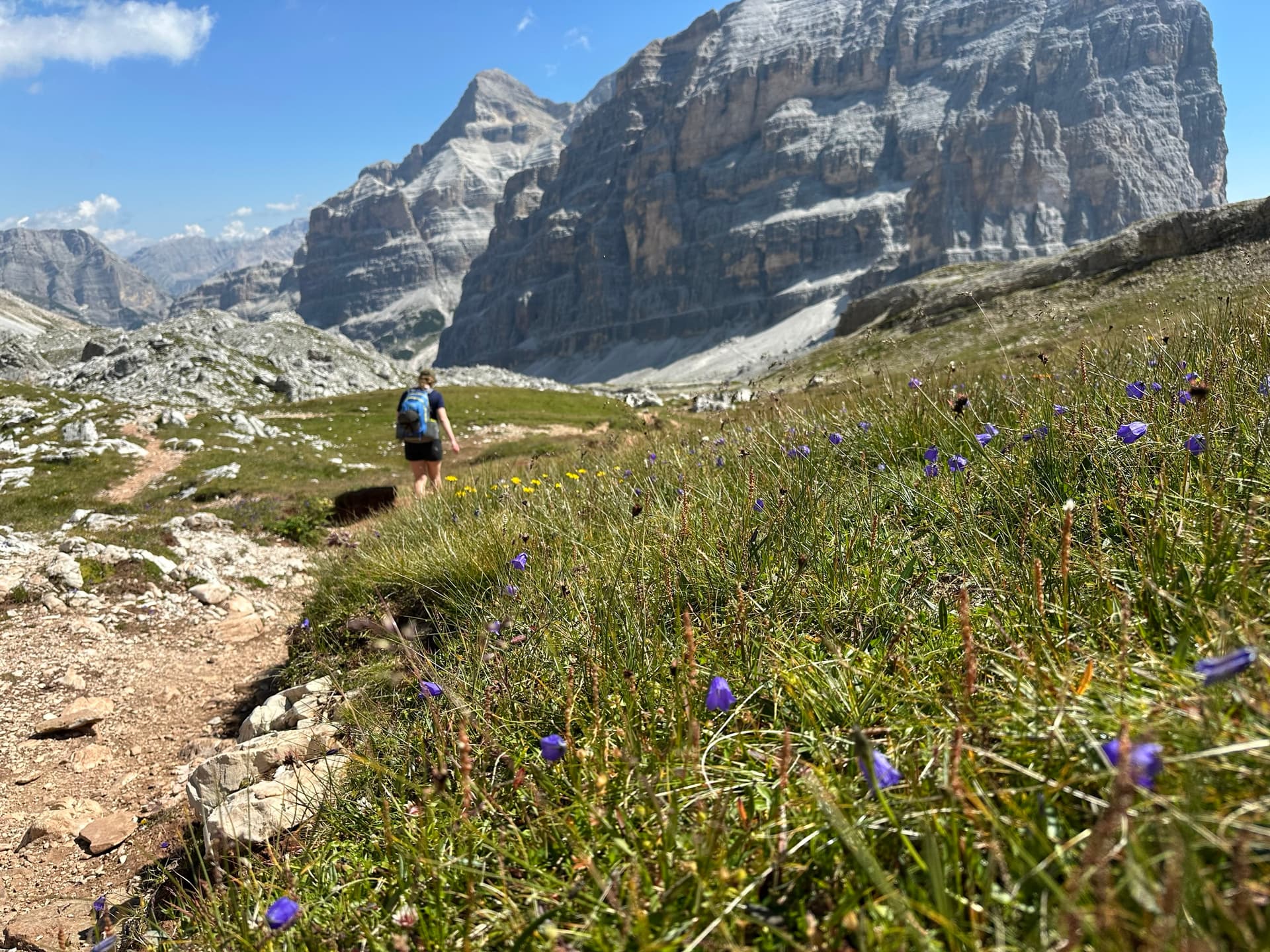 Hiker on mountain trail below massive rocky cliffs with grassy meadow and wildflowers