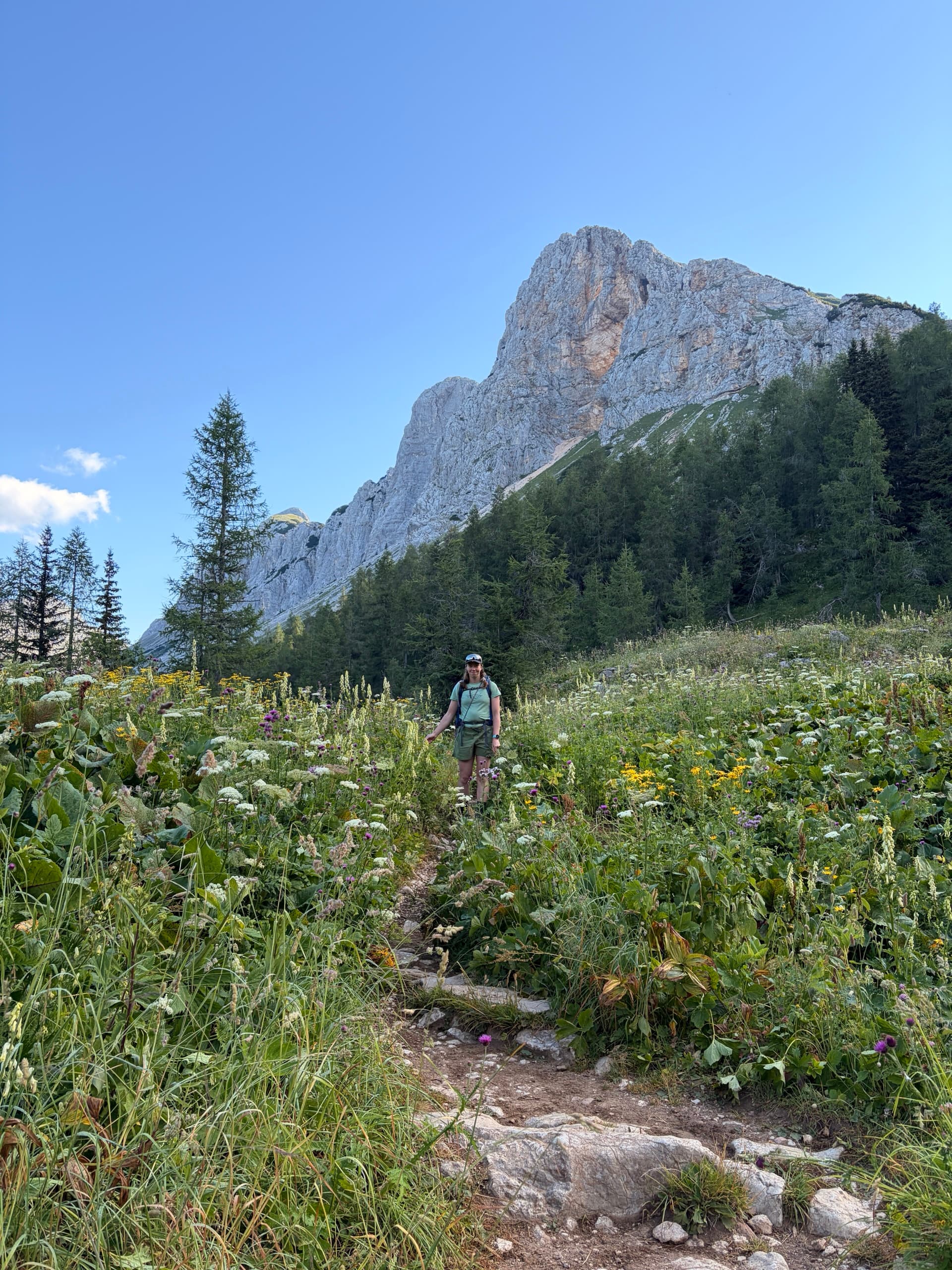 Hiker on alpine trail through wildflowers with mountain peak background