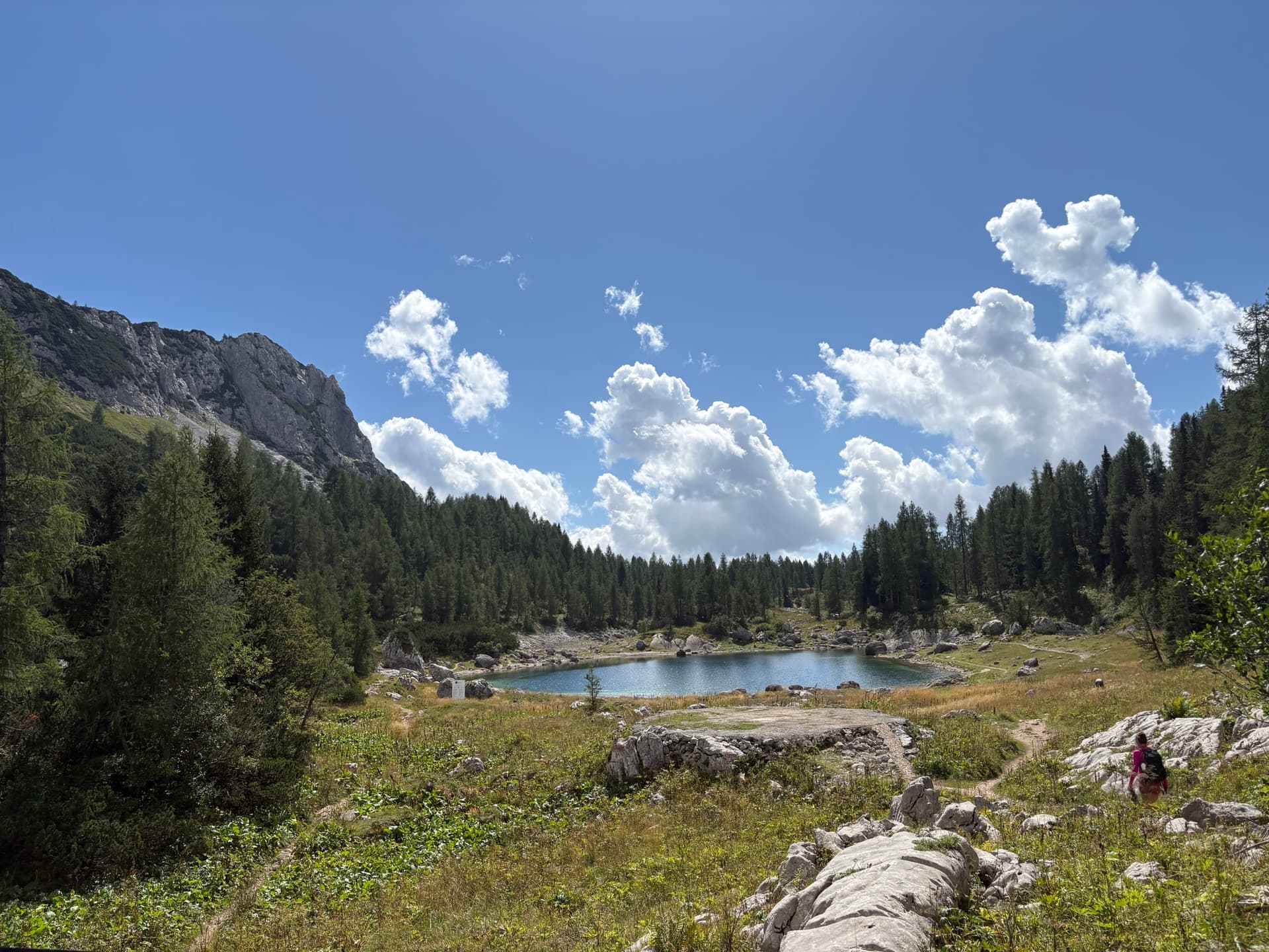 Alpine lake surrounded by forest and rocky mountains under a summer sky with white clouds