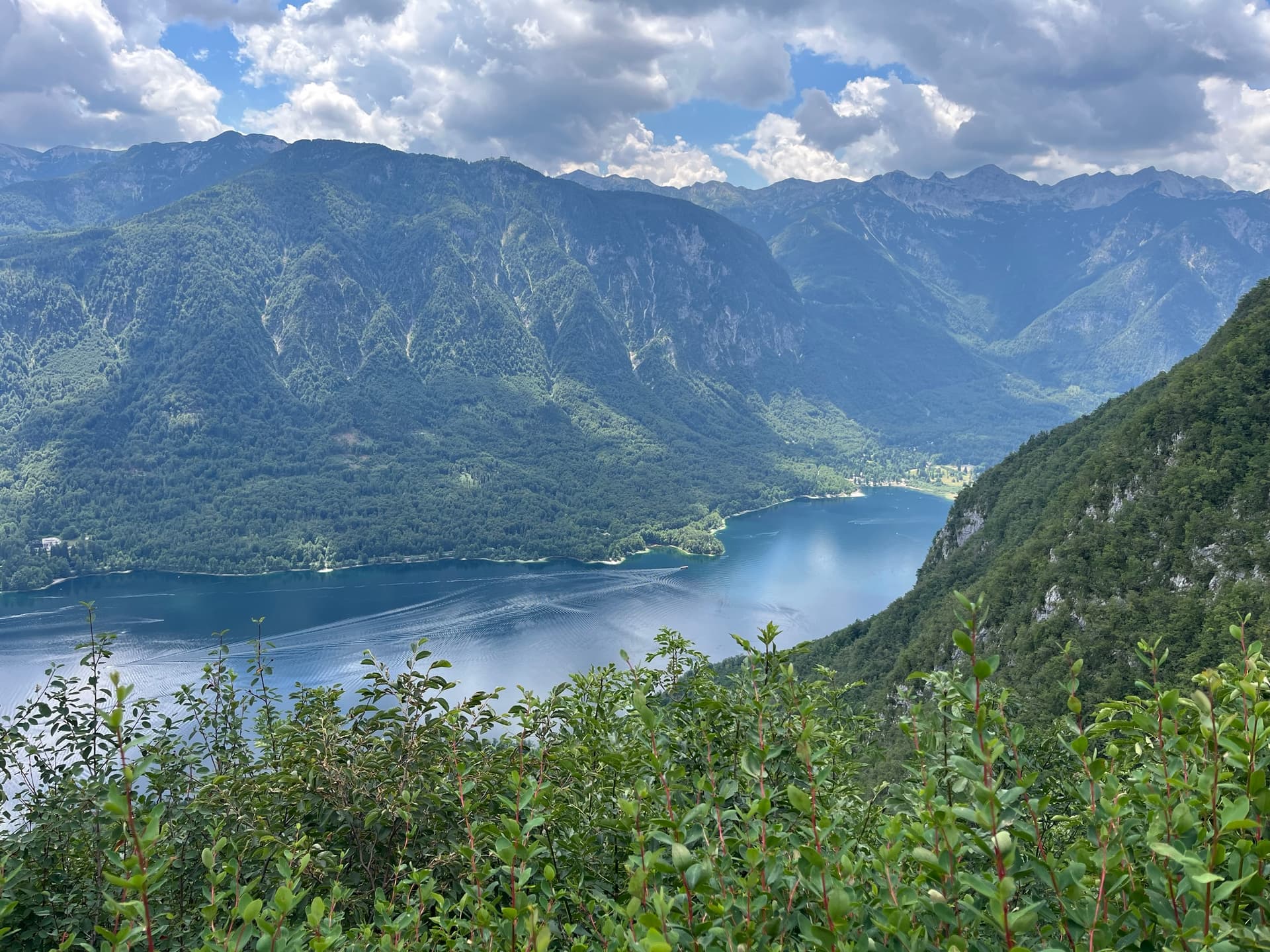 Mountain lake viewed from forest edge with green trees and cloudy sky