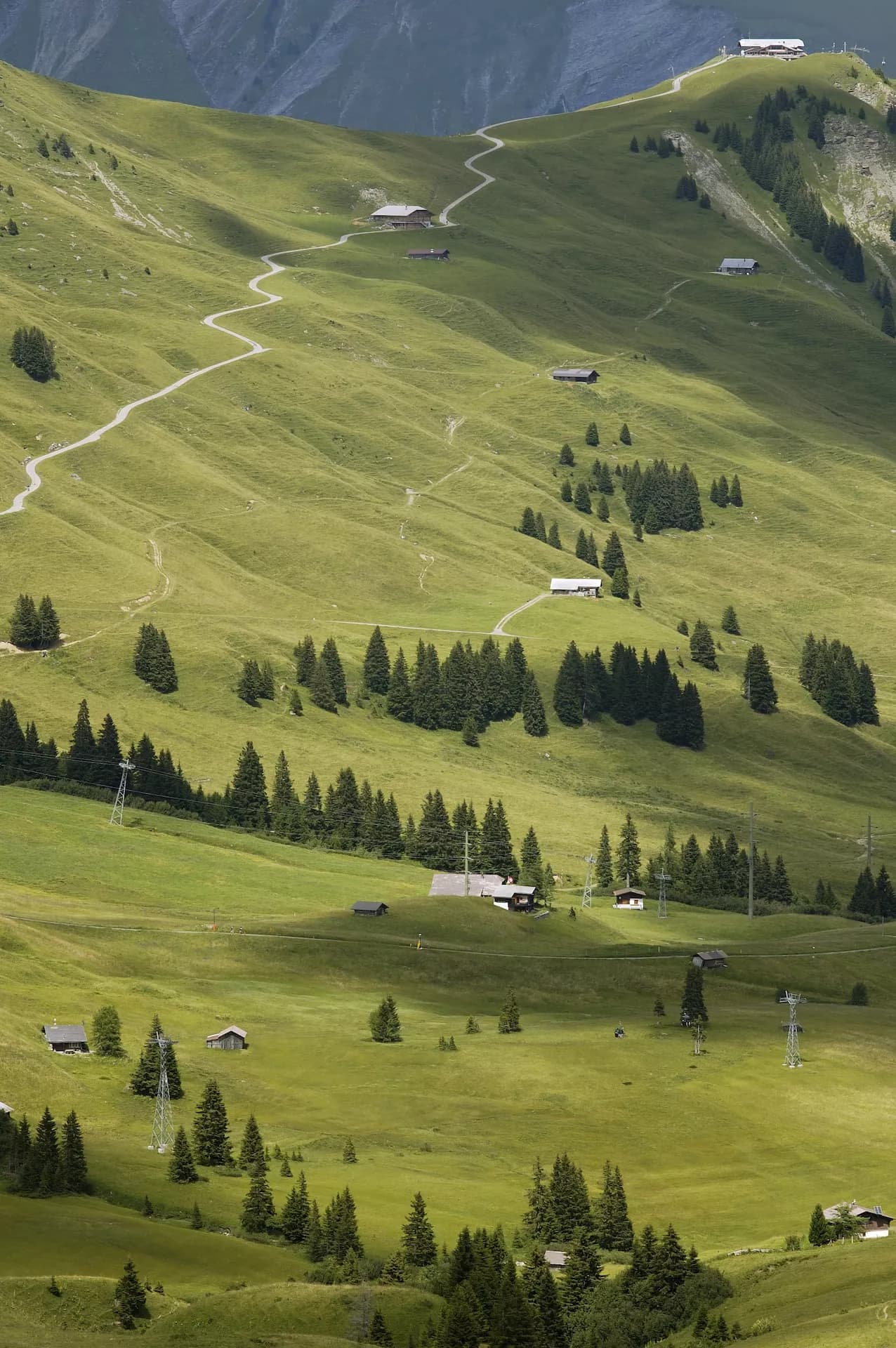 Winding path up grassy alpine slope with scattered chalets and evergreen trees near Hahnenmoospass.