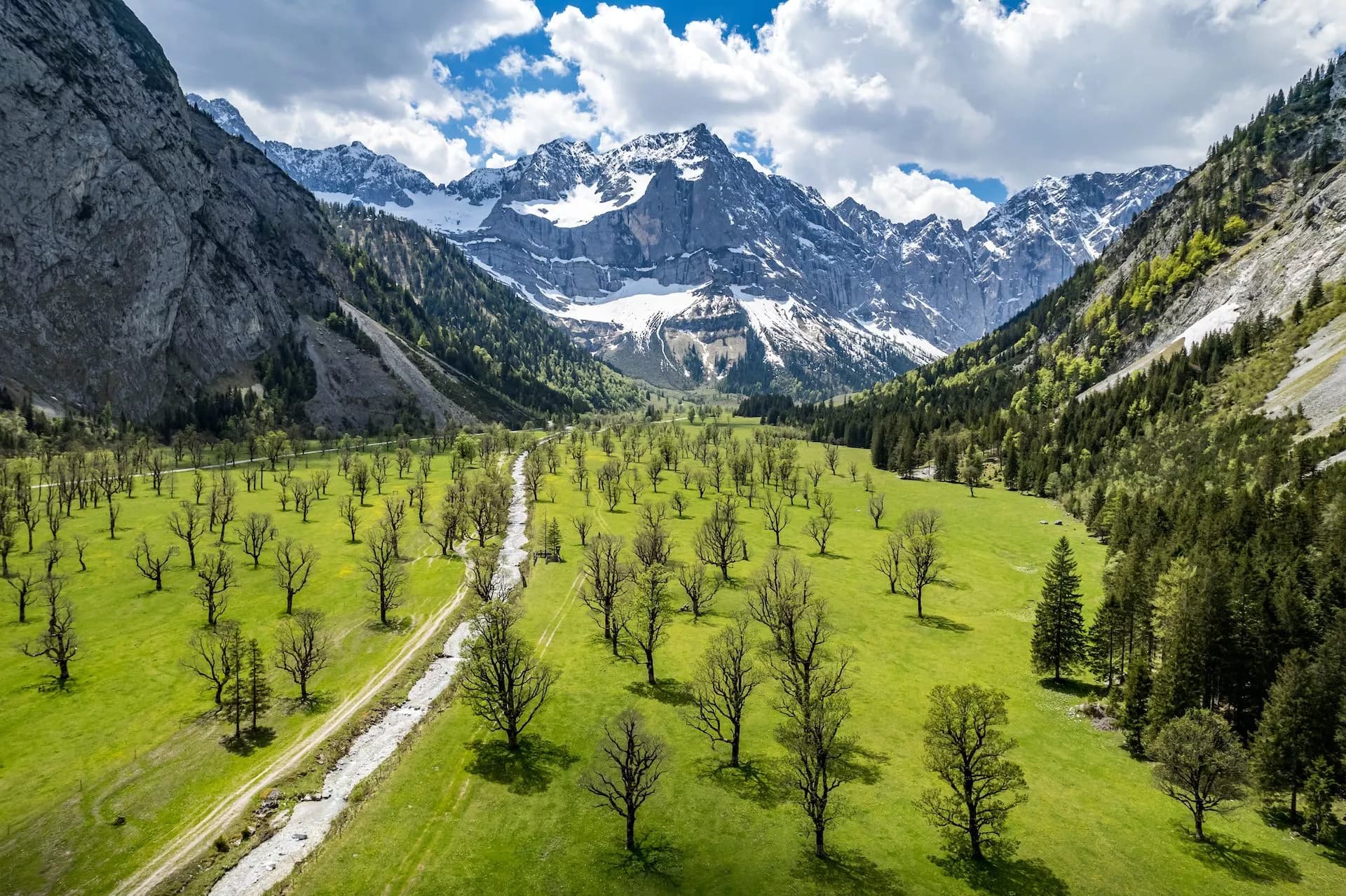 Alpine valley with green meadow, scattered trees, and snow-capped mountains under a cloudy sky.