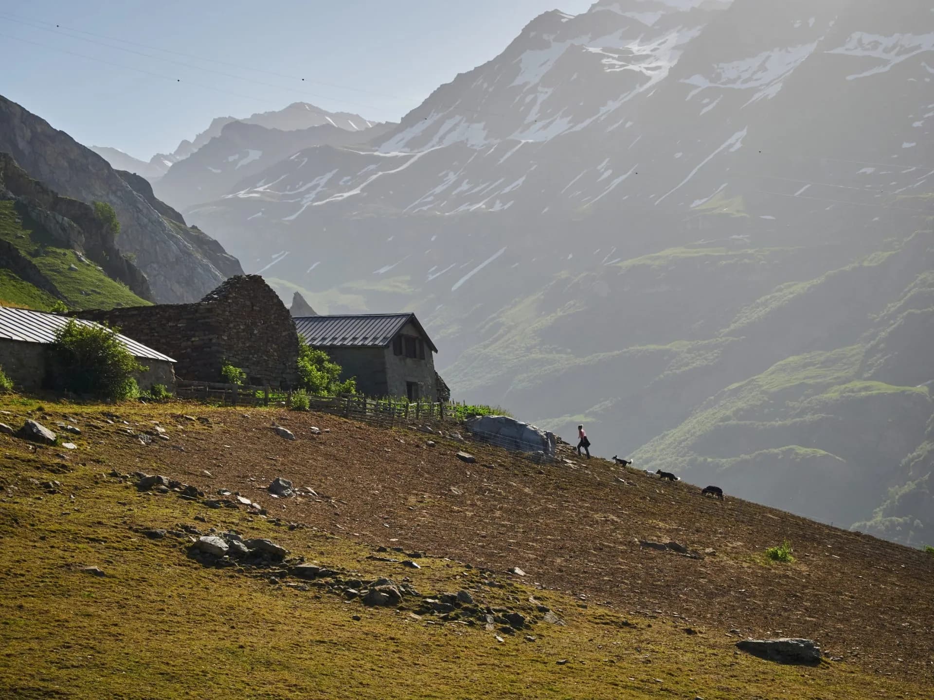 Hiker with dogs ascending steep slope near stone refuge below snowy mountains near Col de la Croix du Bonhomme.