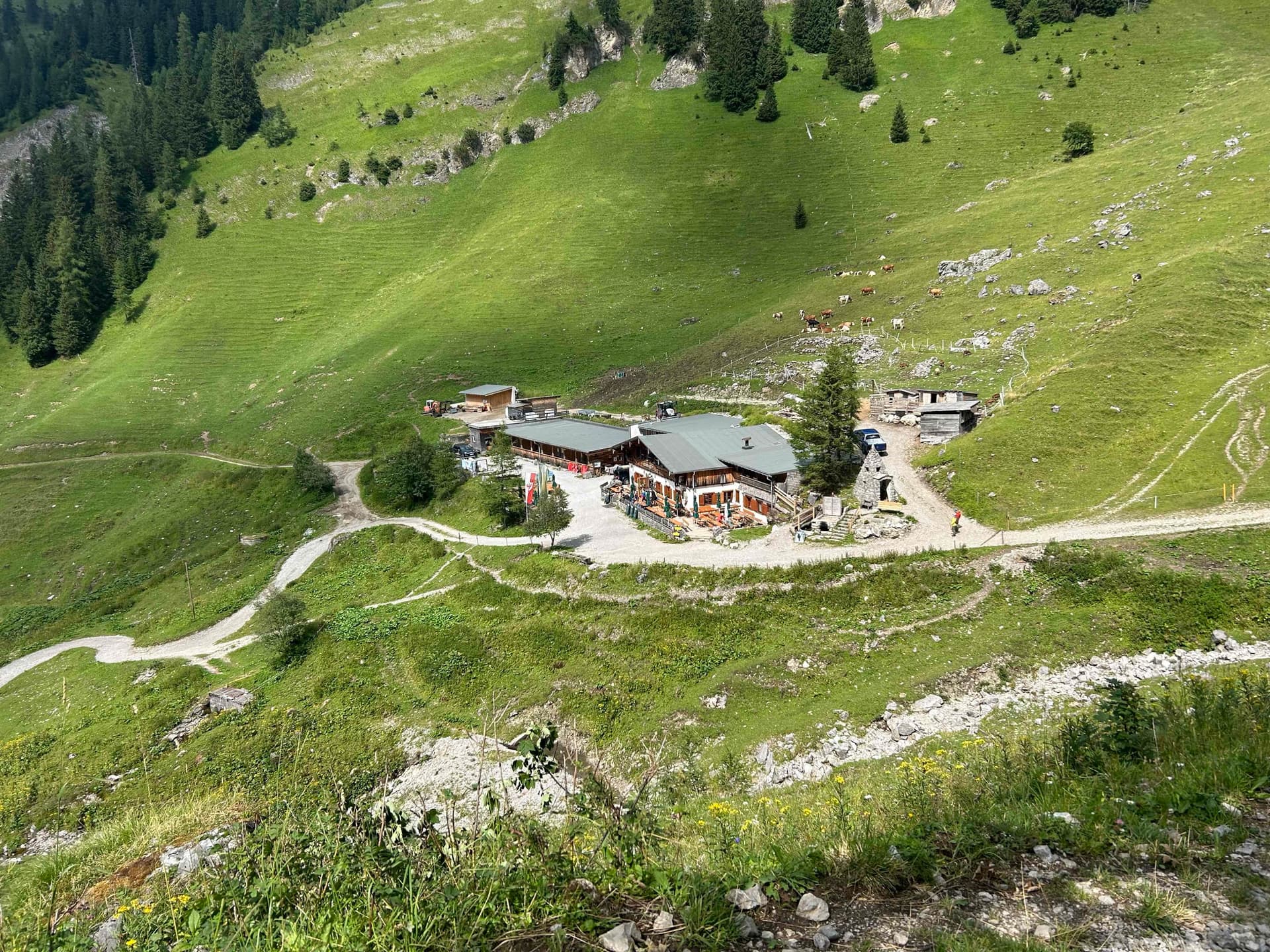 Mountain hut on green alpine slope with dirt paths and grazing cows