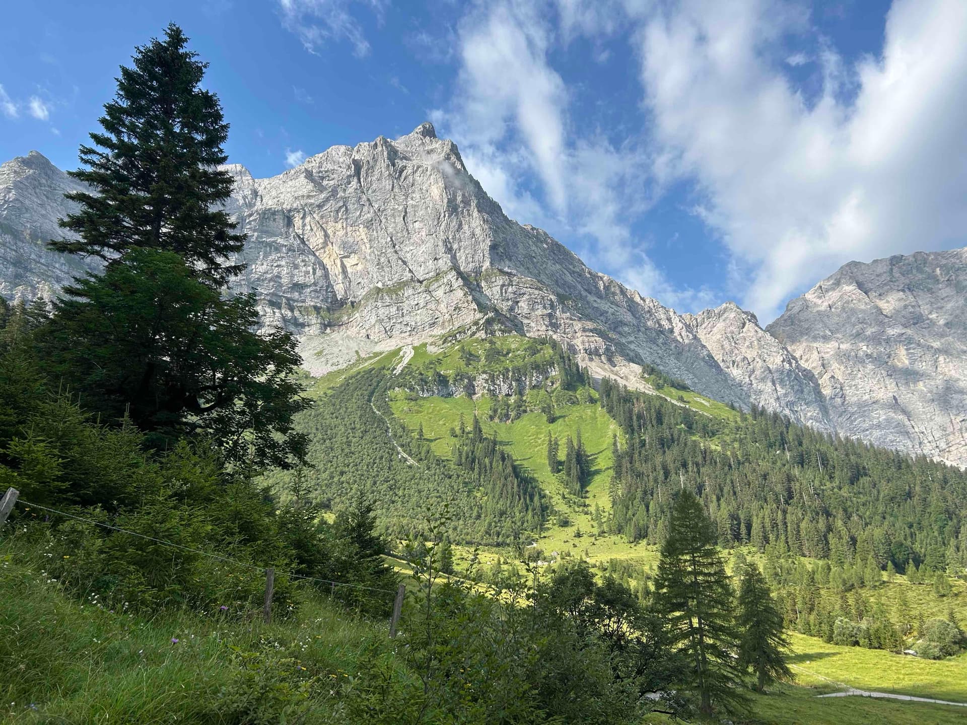 Limestone mountain peaks rising above a green forested valley and grassy meadow